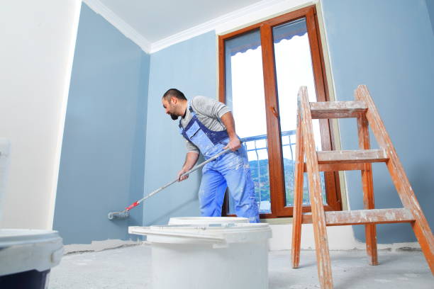 Trusted Manson, WA Mold Removal Experts