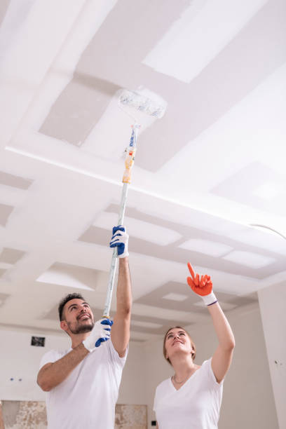 Best Comprehensive Air Testing for Mold Contaminants  in Manson, WA